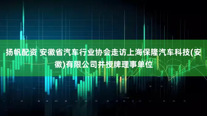 扬帆配资 安徽省汽车行业协会走访上海保隆汽车科技(安徽)有限公司并授牌理事单位