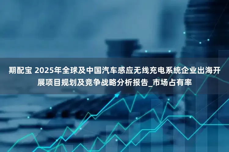 期配宝 2025年全球及中国汽车感应无线充电系统企业出海开展项目规划及竞争战略分析报告_市场占有率