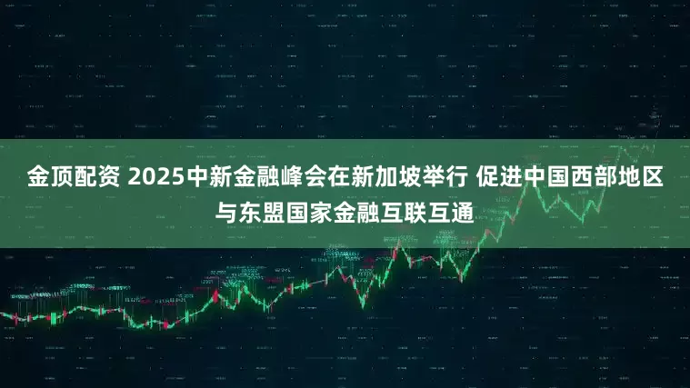 金顶配资 2025中新金融峰会在新加坡举行 促进中国西部地区与东盟国家金融互联互通